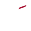 Y17 Logo