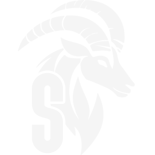 Skulls Logo